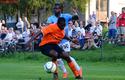 2013-07-09_Cracovia-Puszcza_Niepolomice_2960_720