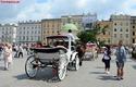 2013-07-14_Cracovia_Prezentacja_3637_720