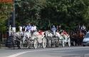 2013-07-14_Cracovia_Prezentacja_3655_720
