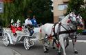 2013-07-14_Cracovia_Prezentacja_3736_720
