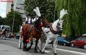 2013-07-14_Cracovia_Prezentacja_3755_720