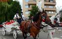 2013-07-14_Cracovia_Prezentacja_3759_720