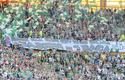 2013-08-10_Lechia-Cracovia_9313_720