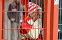 2013-11-09_Piast_Gliwice-Cracovia_8783_720