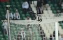 2013-12-14_Legia_Warszawa-Cracovia_9475_720