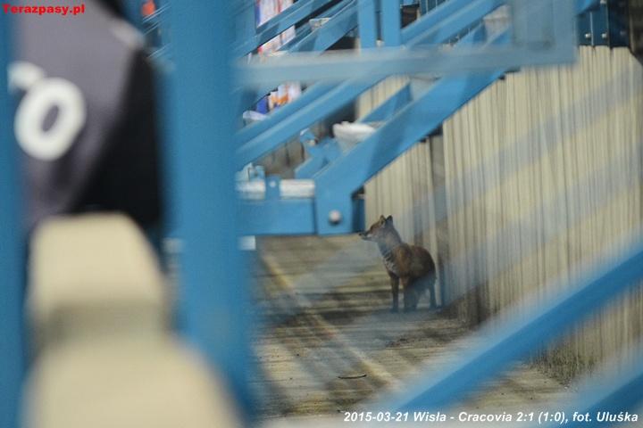 2015-03-21_Wisla-Cracovia_6203_720