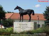 2024-08-12 Kisbér – miasto Imre Pozsonyiego, legendarnego trenera CracoviiPomnik konia zwycięscy- Mazur