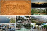 alayie-strona