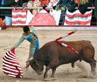 corrida-sektor