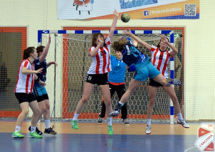 pilka-reczna-2015-01-31-07