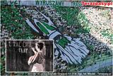 Rympas-lechia