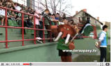 video-belchatow
